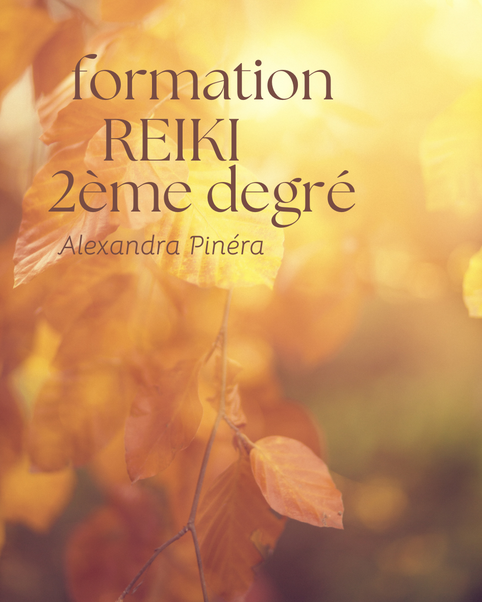 Stage Reiki 2ème degré Alexandra Besançon Luciole espace bien-être