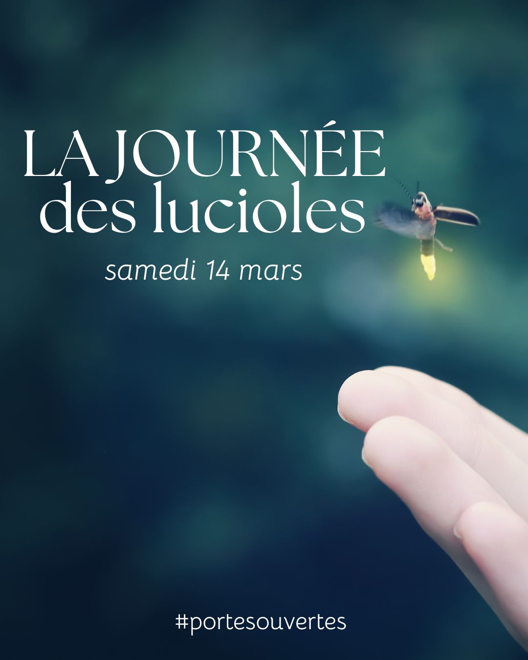 Temps d’échange collectif autour du corps et du mieux-être à Besançon