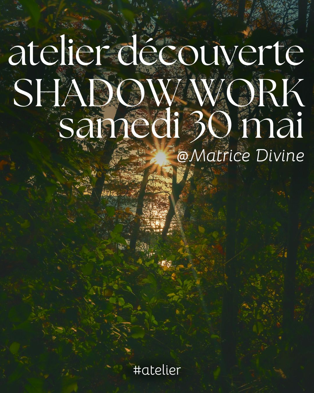 Affiche d'un atelier découverte Shadow Work avec une photo de forêt dense en arrière-plan. Les rayons du soleil percent à travers le feuillage sombre. Le texte indique : "atelier découverte SHADOW WORK samedi 30 mai @Matrice Divine #atelier"
