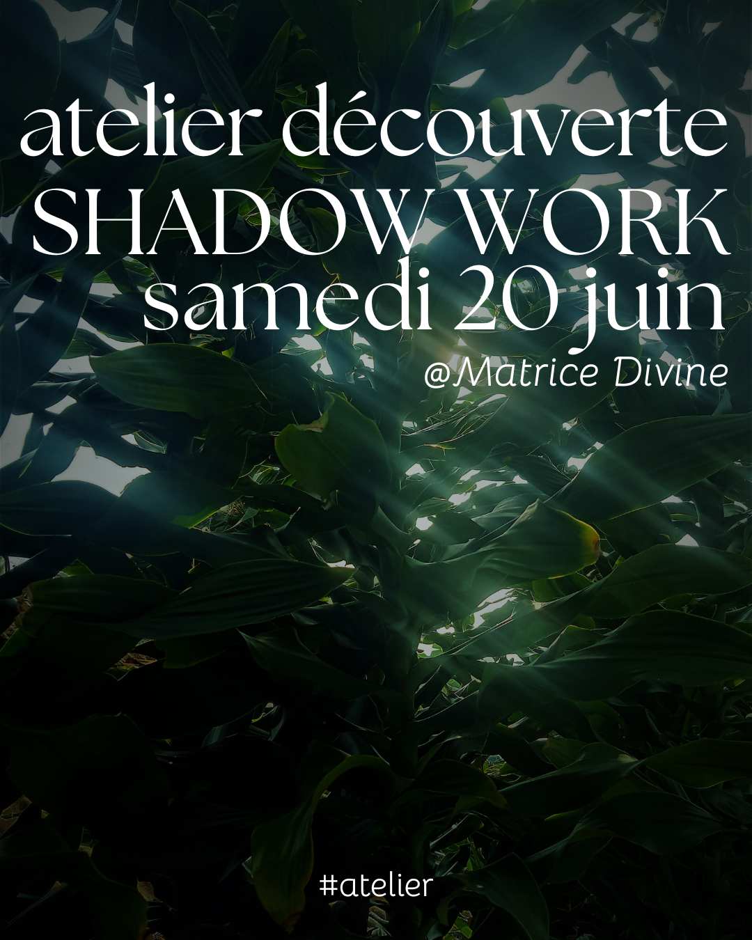 Affiche d'un atelier découverte Shadow Work avec une photo de forêt dense en arrière-plan. Les rayons du soleil percent à travers le feuillage sombre. Le texte indique : "atelier découverte SHADOW WORK samedi 20 juin @Matrice Divine 